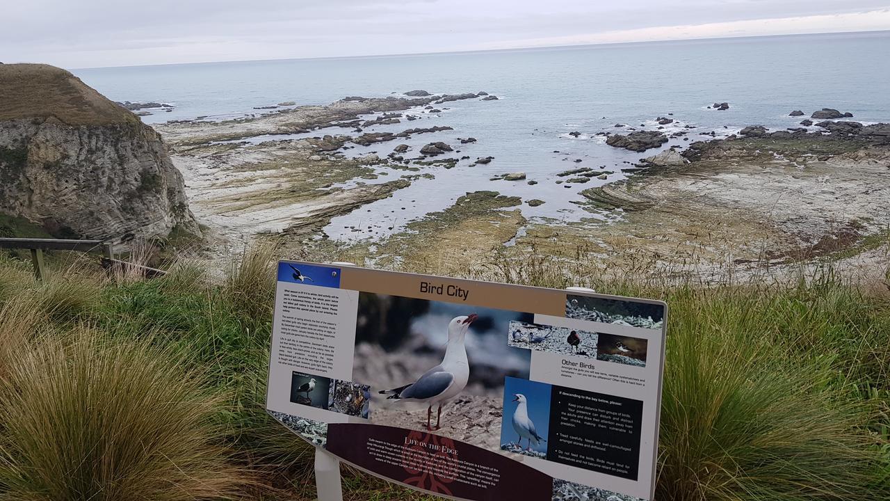 K'Orca Cottage By The Sea Kaikoura Exterior foto